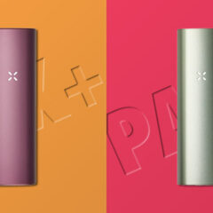 Pax Plus vs Pax 3: Which Should You Choose in 2023?